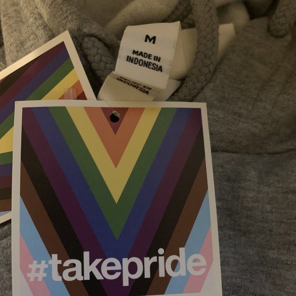 Take Pride Adult Unisex Everyone Welcome Hoodie Sweatshirt Gray Choose Your … - Picture 6 of 6